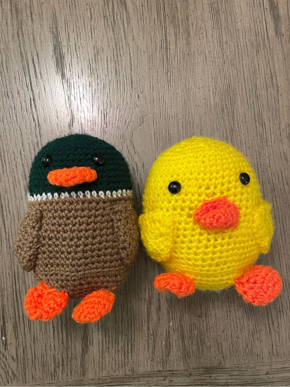 Crotched duck and chick